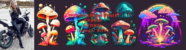 ПСИЛОЦИБИНОВЫЕ ГРИБЫ Алексин