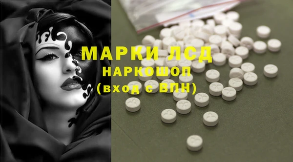 ПСИЛОЦИБИНОВЫЕ ГРИБЫ Алексин
