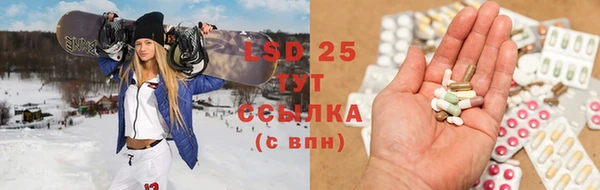ПСИЛОЦИБИНОВЫЕ ГРИБЫ Алексин