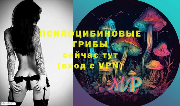 герыч Алексеевка